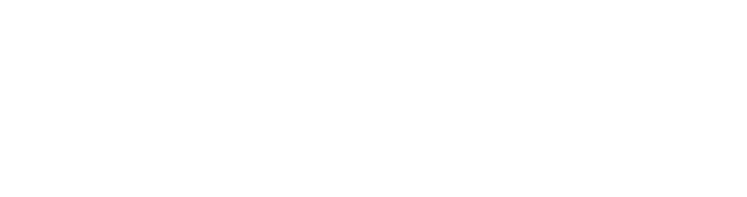 VSBfonds logo kleur